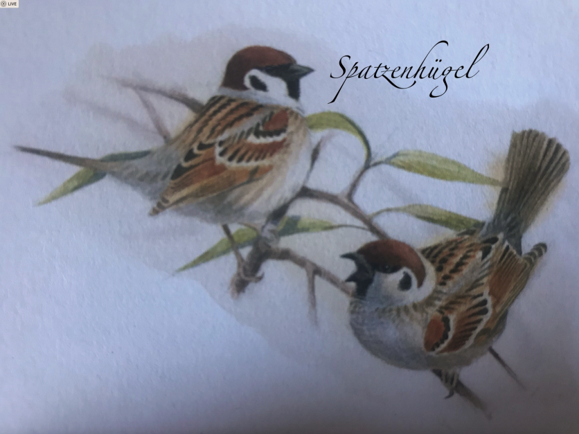 Spatzenhügel